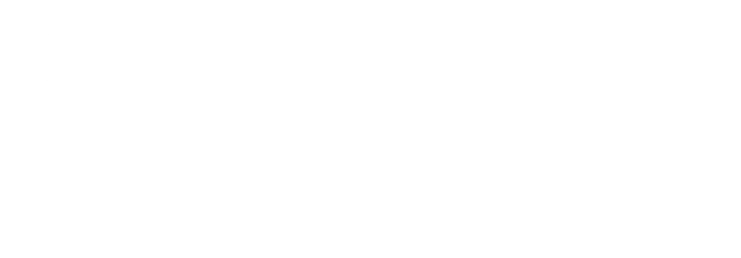 Logo Efectivo Plus Sencillo2